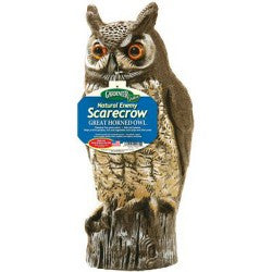 Grey Horned Owl Life-Like Decoy