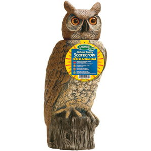 Owl Decoy with Rotating Head